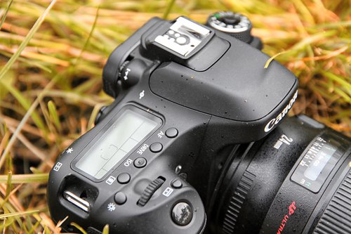 Canon EOS 80D/fot. fotoManiaK.pl