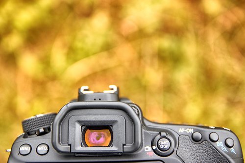Canon EOS 80D/fot. fotoManiaK.pl
