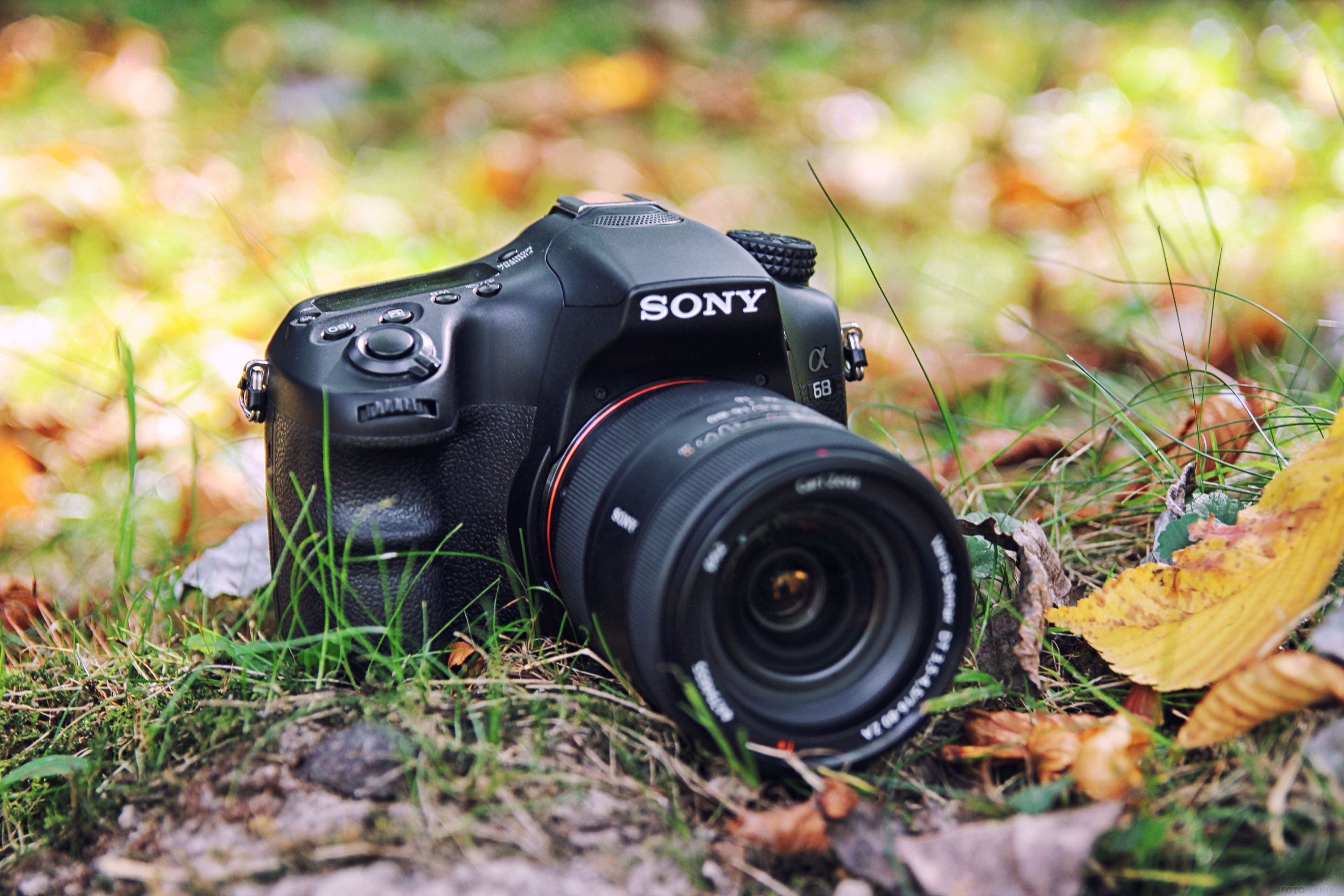 Test Sony Slt A68 Dobra Lustrzanka W Niezlej Cenie Fotomaniak Pl