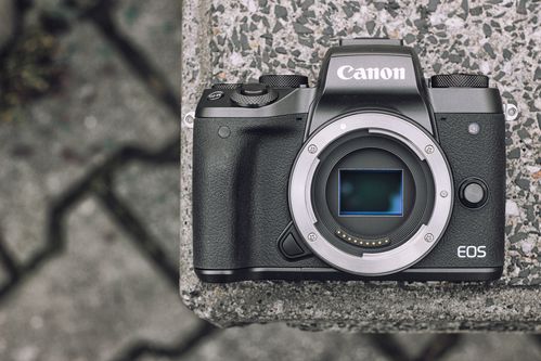 Canon EOS M5/fot. fotoManiaK.pl