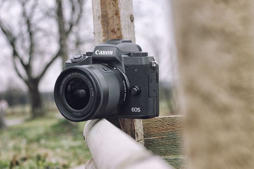 Canon EOS M5/fot. fotoManiaK.pl