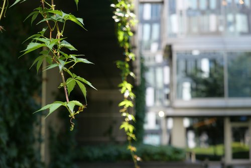 Zdjęcie zrobione aparatem Panasonic Lumix LX100 II / fot. fotoManiaK.pl