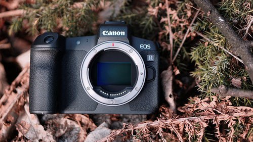 Canon EOS R/fot. fotoManiaK.pl