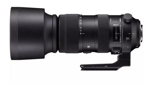 SIGMA 60-600mm F4.5-6.3 DG OS HSM | Sports