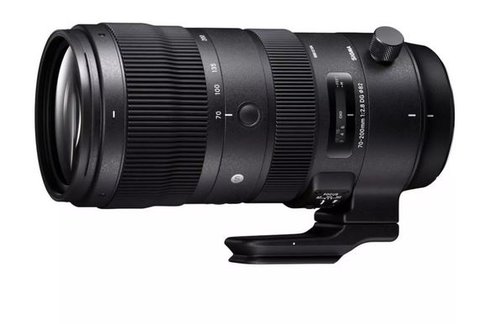 SIGMA 70-200mm F2.8 DG OS HSM | Sports 