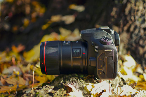 Canon EOS 90D/fot. fotoManiaK.pl
