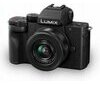 Panasonic LUMIX G100