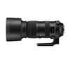 SIGMA 60-600mm F4.5-6.3 DG OS HSM | Sports